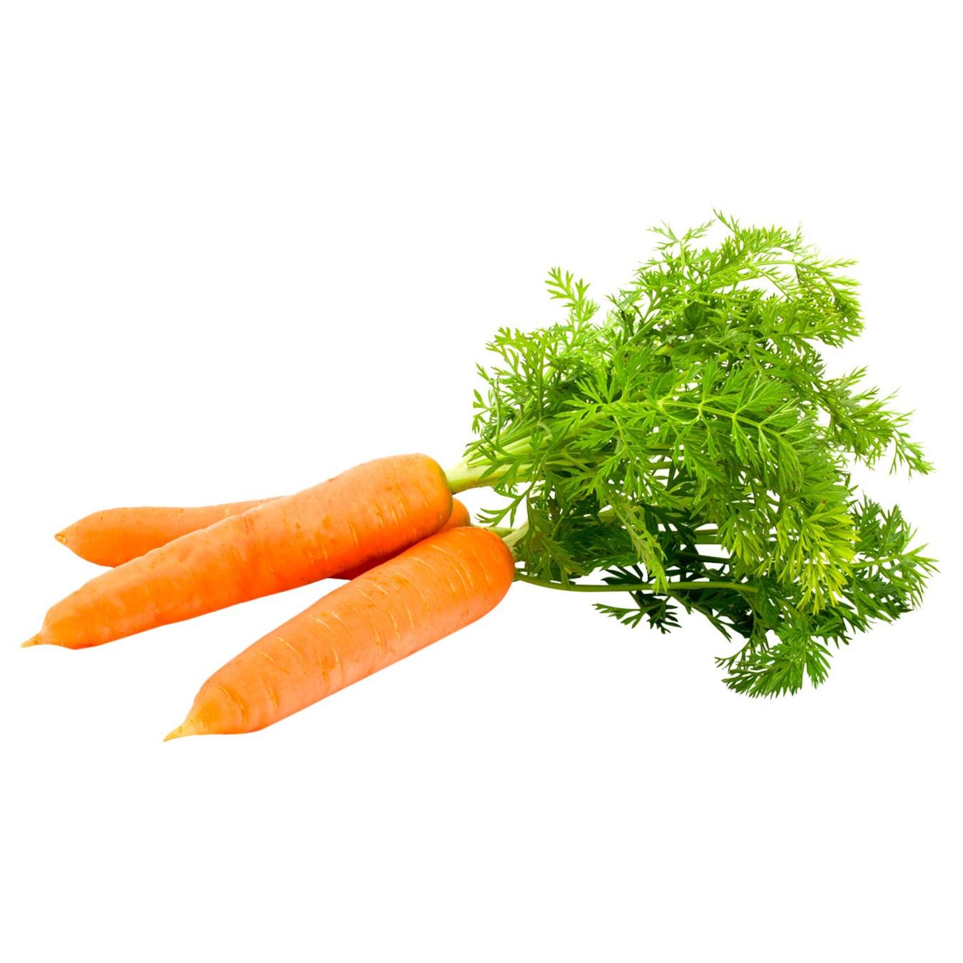 Морковь в пучках. Пучок морковки. Пучки морковки для детей. Пучка морковь 6 штук. Свяжи морковки в пучки